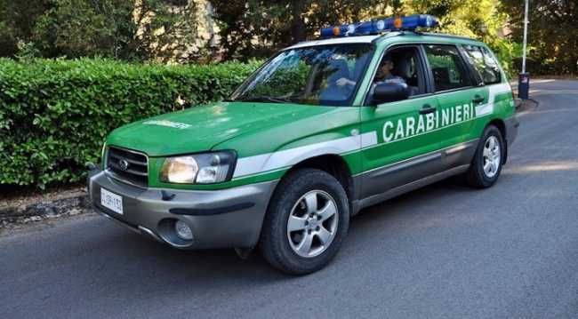 Carabinieri forestali Auto