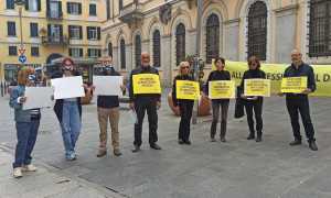 Amnesty dissenso
