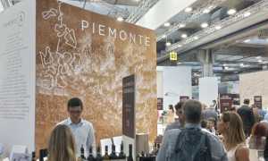Area Piemonte 1
