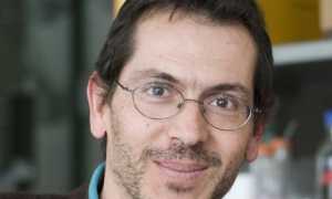 Armando Genazzani