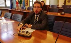 Ass Crivelli