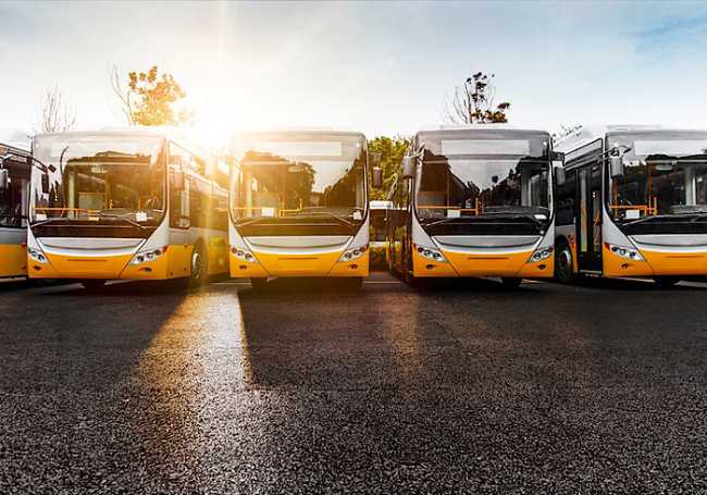 Autobus
