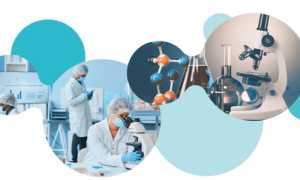 Brevetto interreg