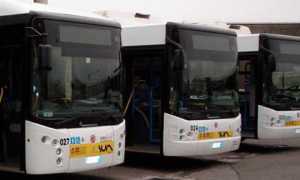 Bus sun
