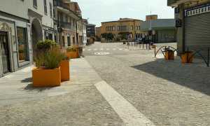 Cameri fioriere