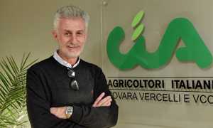 Daniele botti Cia