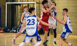 Derby basket Novara