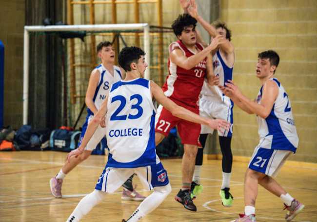 Derby basket Novara