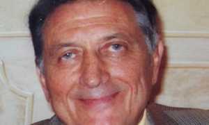 Dino Tarable