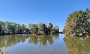 Foto Palude Casalbeltrame 7