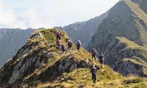 IMG 46961