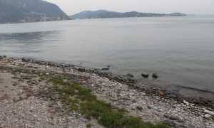 IMG 9989 copia