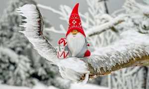 Natale babbo albero