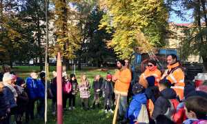 Novara festa alberi
