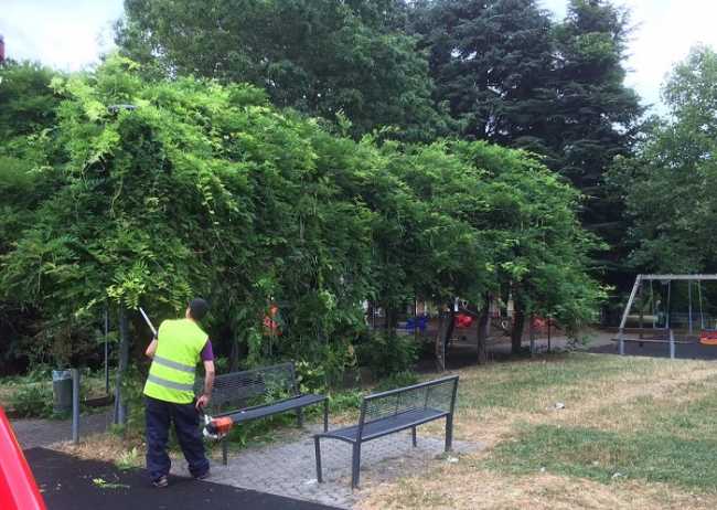 Novara patrimonio ambientale