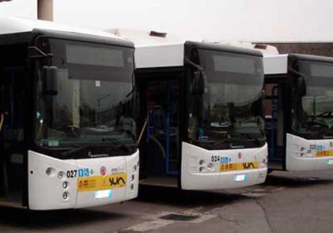 Sun autobus