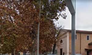 Trecate alberi