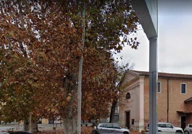 Trecate alberi