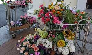 Trecate cimitero