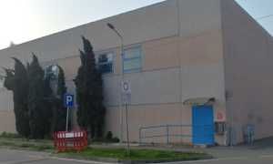 Trecate palestra