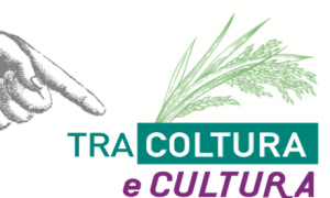 Vespolarte