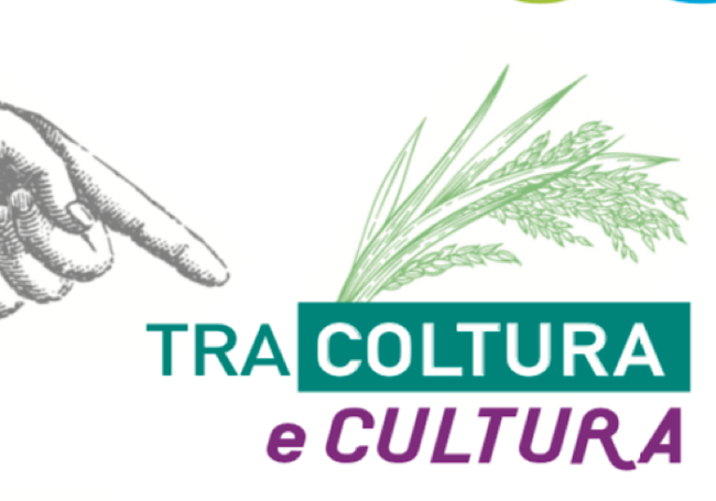 Vespolarte