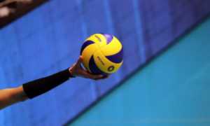Volley