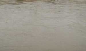 acqua fiume