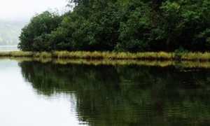 acqua fiume