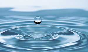 acqua