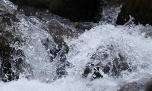 acqua