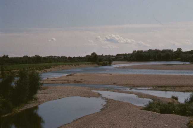 acqua