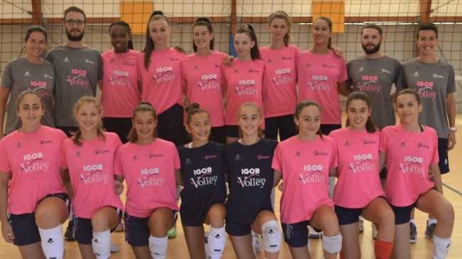 agil serie d