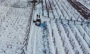 agricoltura gelo