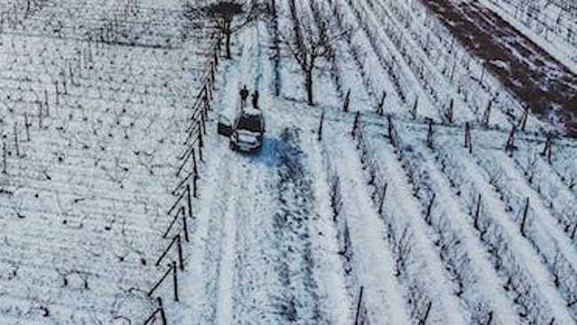 agricoltura gelo