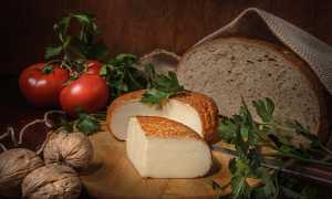 agroalimentare