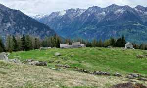 alpe deccia fabbri