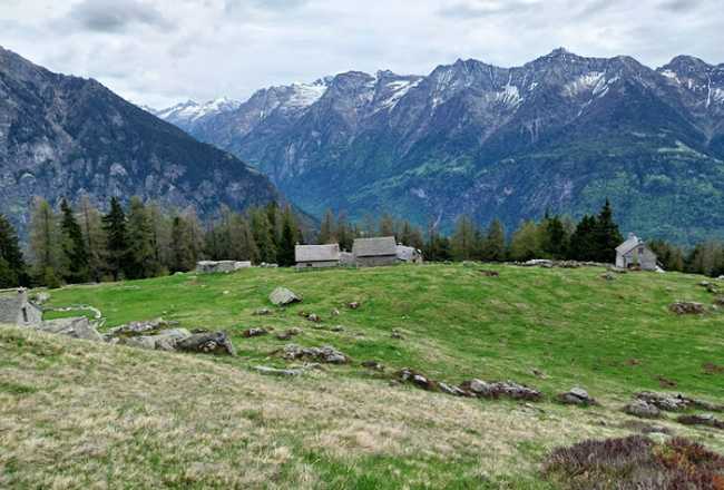alpe deccia fabbri