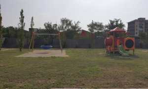 amazon parco 1