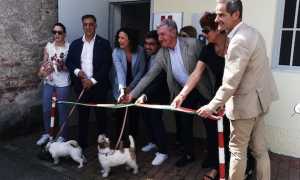 ambilat vet 1