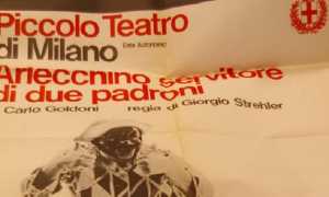 arlecchino novara