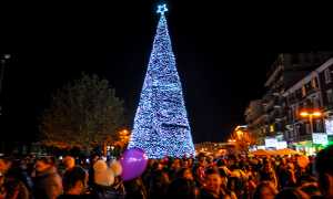 arona albero natale 700