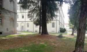 asl novara