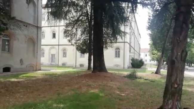 asl novara
