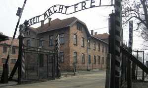 auschwitz foto