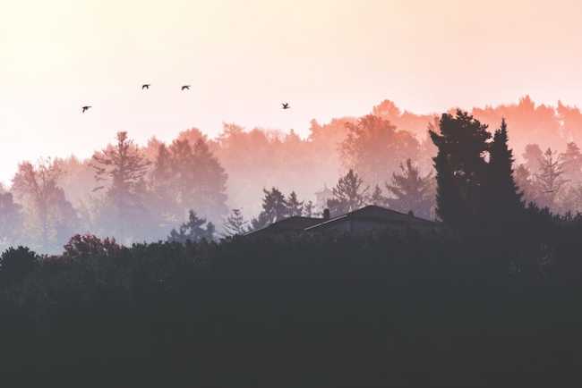 autunno