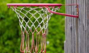basket foto