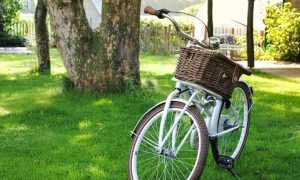 bici cestino