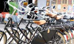 bici gruppo