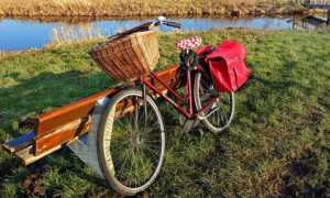 bicicletta verde